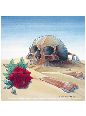 Grateful Dead Europe 81 Skull