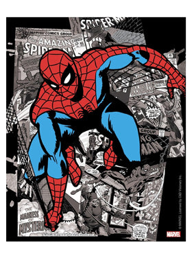 Spiderman B&W Comic