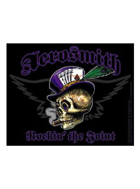 Aerosmith Top Hat Skull
