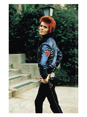 David Bowie Pose
