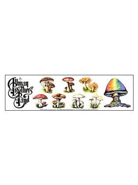 The Allman Brothers Mushrooms