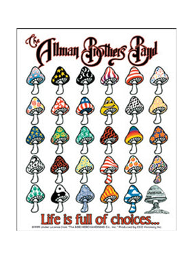 The Allman Brothers Life is Full of Choices