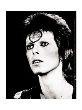 David Bowie Black and White