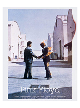 Pink Floyd Burning Man