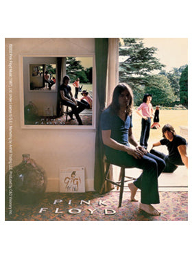 Pink Floyd Ummagumma