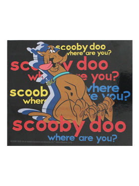 Scooby-Doo Where Are You?