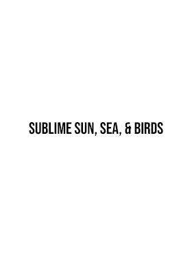 Sublime Sun, Sea, & Birds