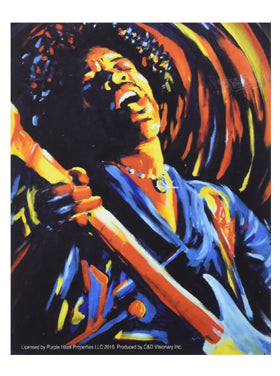 Jimi Hendrix Performs