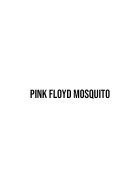 Pink Floyd Mosquito