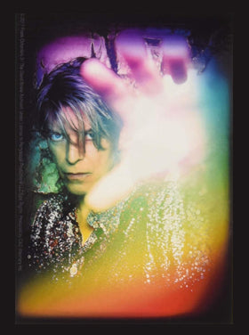 Bowie David Rainbow