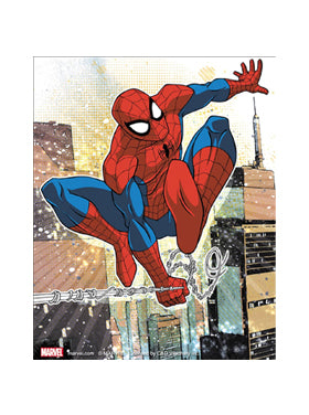 Spiderman Spidey with Web